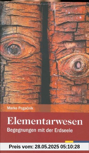 Elementarwesen: Begegnungen mit der Erdseele Elementarwesen: Begegnungen mit der Erdseele