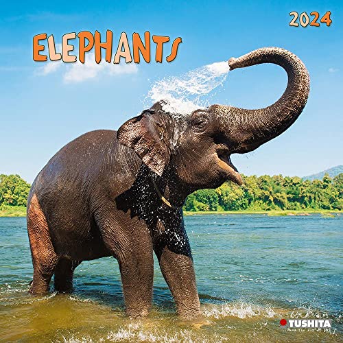 Elephant Families 2024: Kalender 2024 (Wonderful World) von Tushita PaperArt