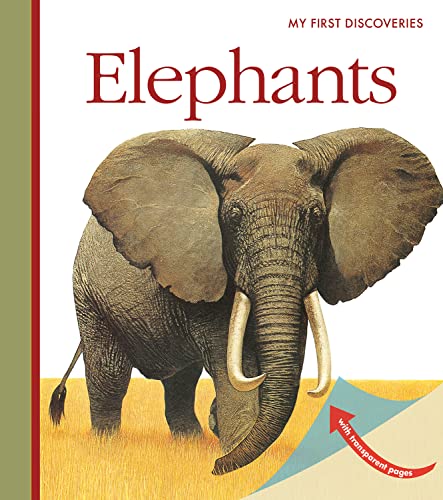 Elephants (My First Discoveries) von Moonlight Publishing