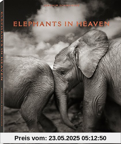Elephants in Heaven Elephants in Heaven