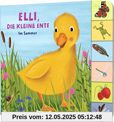 Elli, die kleine Ente: Im Sommer | Jahreszeiten-Pappebuch mit Griff-Register