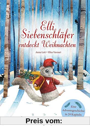 Elli Siebenschläfer entdeckt Weihnachten: Eine Adventsgeschichte in 24 Kapiteln