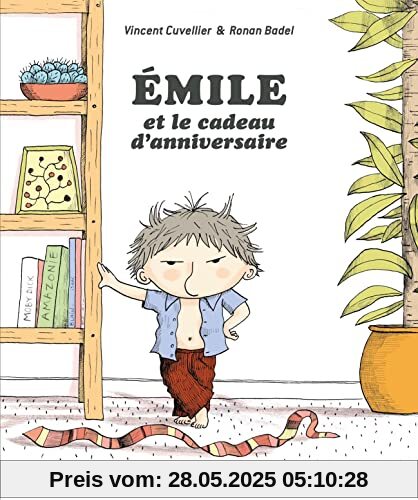 Émile et le cadeau d'anniversaire
