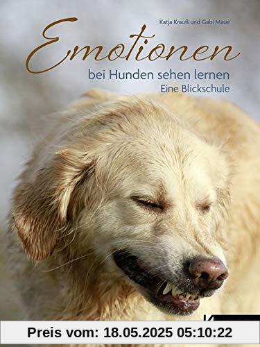 Emotionen bei Hunden sehen lernen: Eine Blickschule