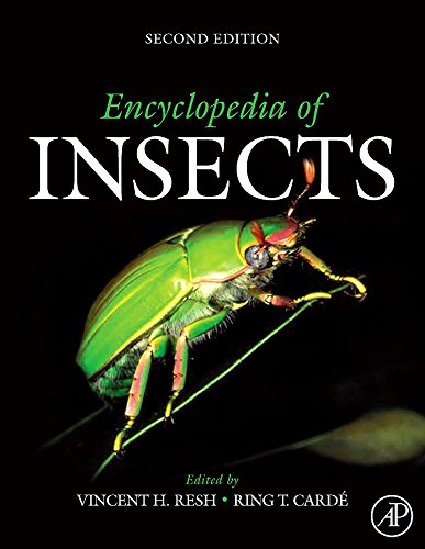 Encyclopedia of Insects von Academic Press