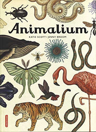 Encyclopedium - Animalium