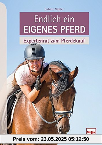Endlich ein eigenes Pferd: Expertenrat zum Pferdekauf