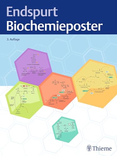 Endspurt Biochemieposter von Thieme