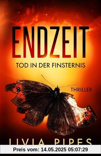 Endzeit – Tod in der Finsternis: Survival-Thriller (Endzeit-Visionen, Band 2)