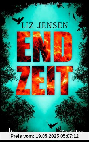 Endzeit: Thriller