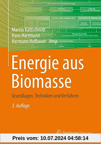 Energie aus Biomasse: Grundlagen, Techniken und Verfahren