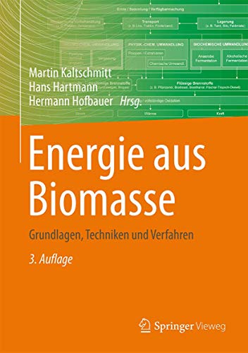 Energie aus Biomasse: Grundlagen, Techniken und Verfahren