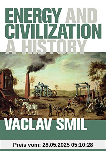Energy and Civilization: A History (Mit Press)