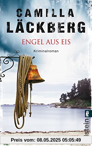 Engel aus Eis (Ein Falck-Hedström-Krimi, Band 5)