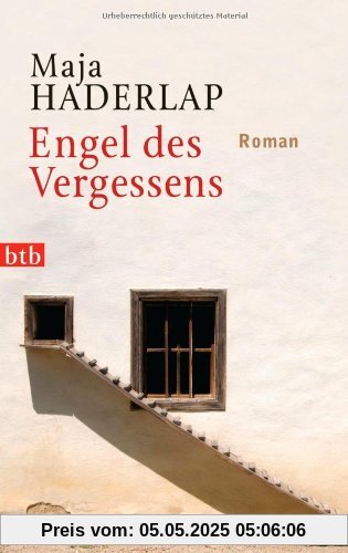 Engel des Vergessens: Roman