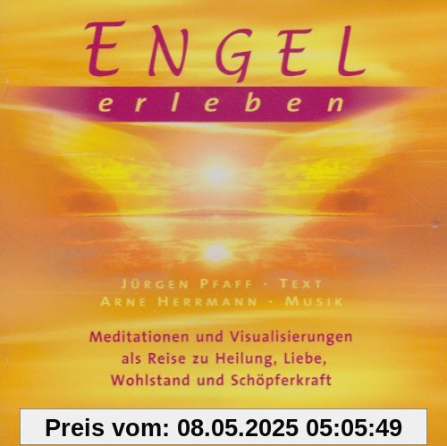 Engel erleben. Audio CD: Meditationen und Visualisierungen als Reise zu Heilung, Liebe, Wohlstand und Schöpferkraft