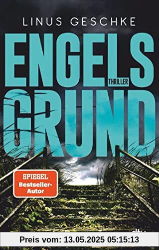 Engelsgrund: Thriller (Born-Trilogie, Band 3)