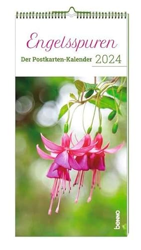Engelsspuren 2024: Der Postkarten-Kalender von St. Benno Verlag GmbH