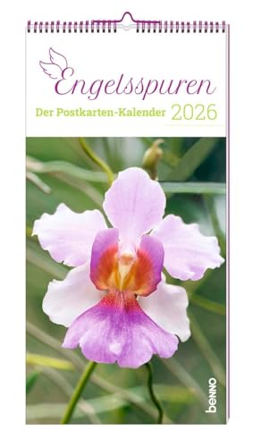 Engelsspuren 2026: Der Postkarten-Kalender Engelsspuren 2026: Der Postkarten-Kalender von St. Benno