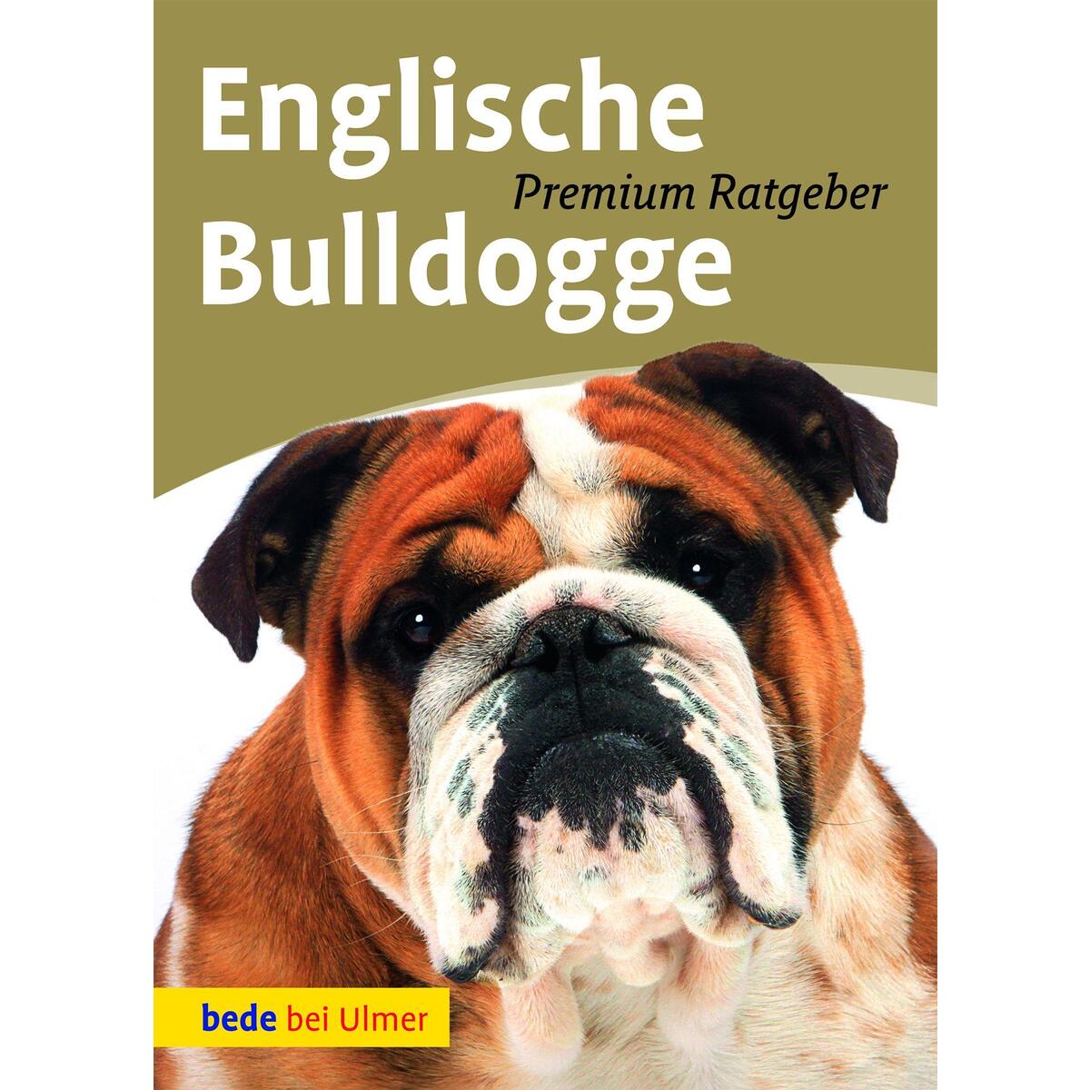 Englische Bulldogge von Ulmer Eugen Verlag