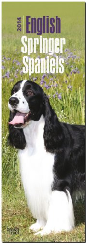 English Springer Spaniels 2014 - Englische Springer Spaniels: Original BrownTrout-Kalender - Slimline [Mehrsprachig] [Kalender] (Slimline-Kalender) von Brown Trout-Auslieferer Flechsig