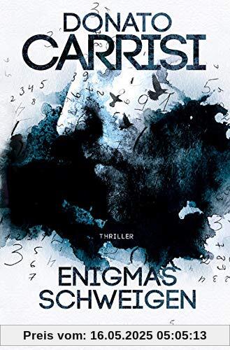 Enigmas Schweigen: Thriller