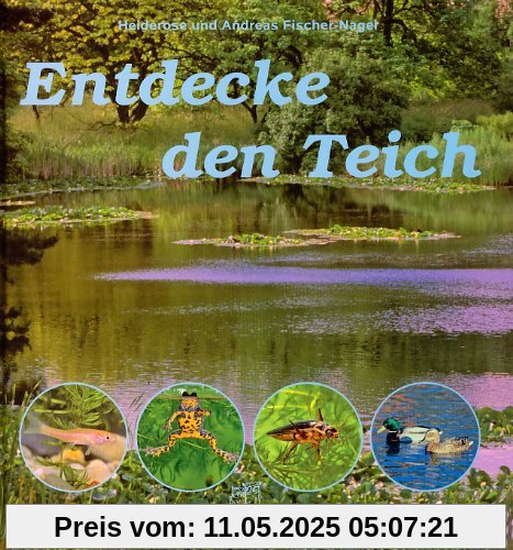 Entdecke den Teich