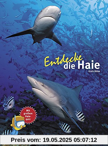 Entdecke die Haie