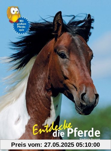 Entdecke die Pferde