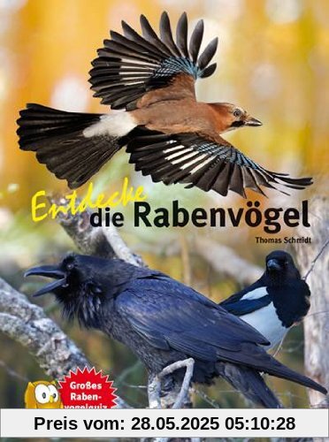 Entdecke die Rabenvögel (NTV Kinderbuch)
