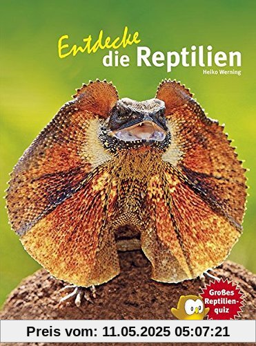 Entdecke die Reptilien (Entdecke - Die Reihe mit der Eule)