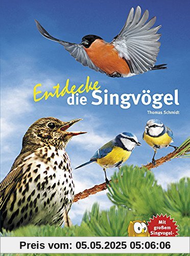 Entdecke die Singvögel