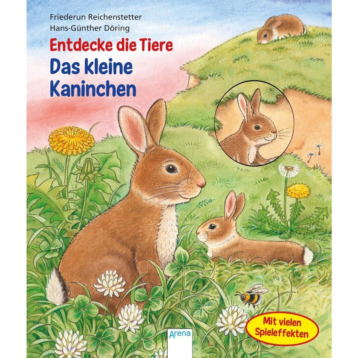 Entdecke die Tiere. Das kleine Kaninchen von Arena Verlag GmbH