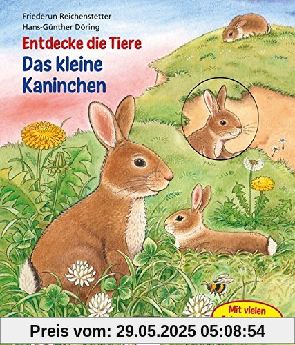 Entdecke die Tiere. Das kleine Kaninchen Entdecke die Tiere. Das kleine Kaninchen
