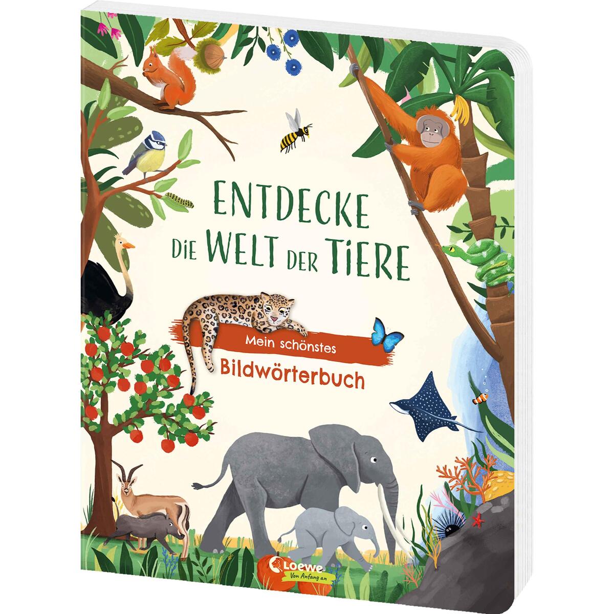Entdecke die Welt der Tiere - Mein schönstes Bildwörterbuch von Loewe Verlag GmbH