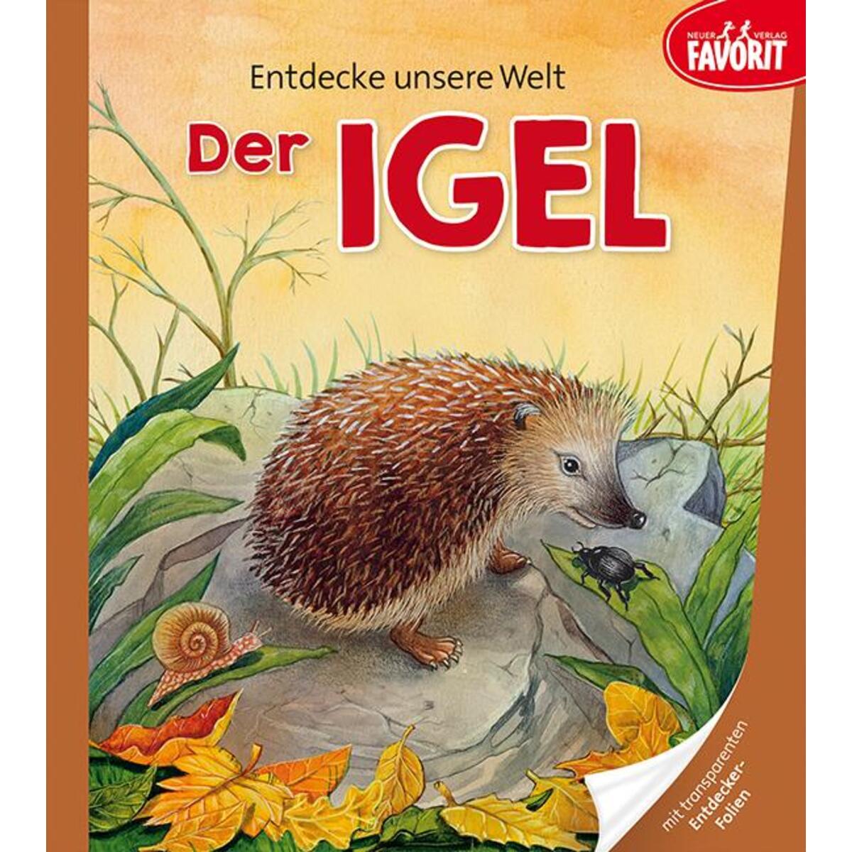 Entdecke unsere Welt - Der Igel von Neuer Favorit Verlag