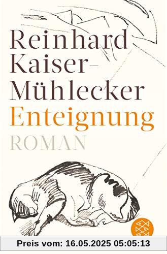 Enteignung: Roman