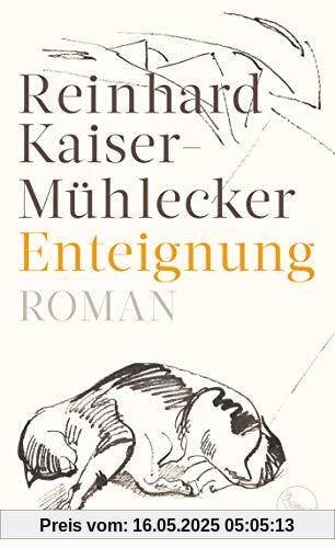 Enteignung: Roman