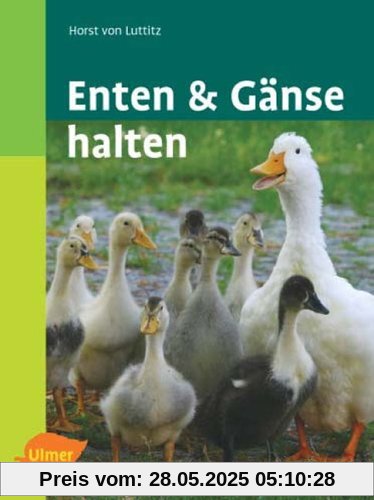 Enten und Gänse halten