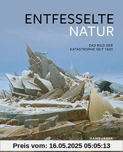 Entfesselte Natur: Das Bild der Katastrophe seit 1600