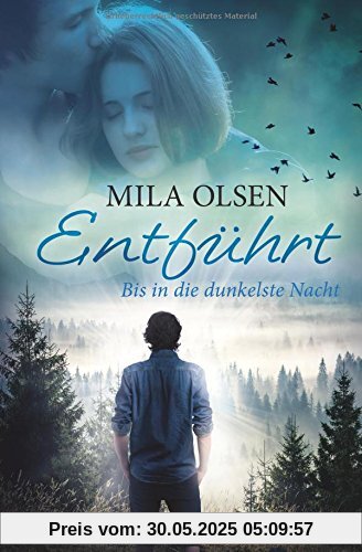Entführt - Bis in die dunkelste Nacht (Louisa und Brendan, Band 2)