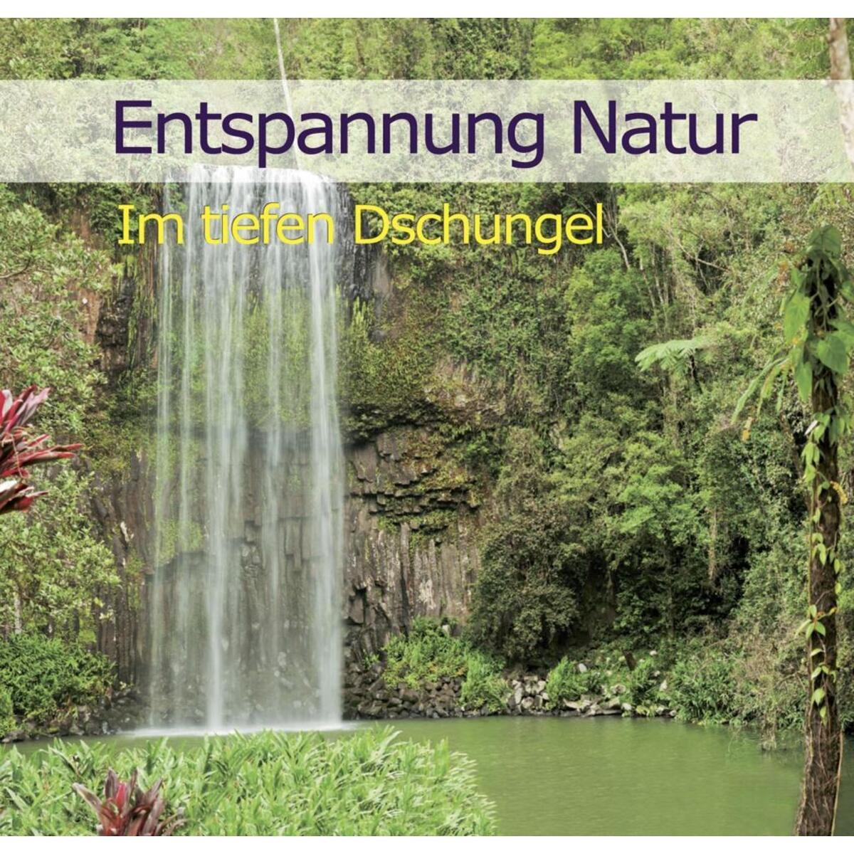 Entspannung Natur - Im tiefen Dschungel von Musikverlag Edition Ample