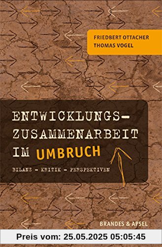 Entwicklungszusammenarbeit im Umbruch: Bilanz - Kritik - Perspektiven - Eine Einführung