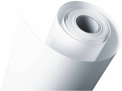 Epson Photo Paper Gloss 250 g 61 cm (24 ) x 30,5 m S 041893 von Epson