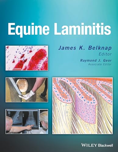 Equine Laminitis