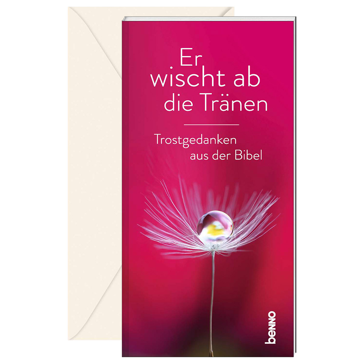Er wischt ab die Tränen von St. Benno Verlag