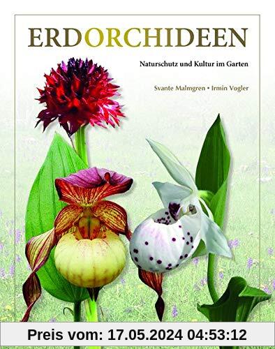 Erdorchideen: Naturschutz und Kultur im Garten