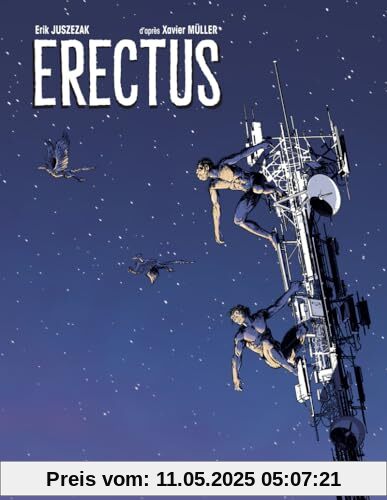 Erectus