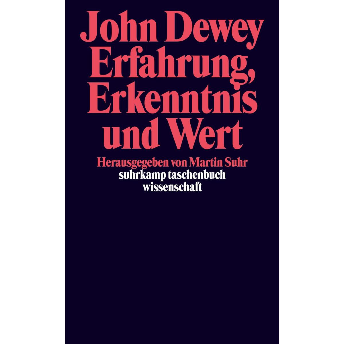 Erfahrung, Erkenntnis und Wert Erfahrung, Erkenntnis und Wert von Suhrkamp Verlag AG