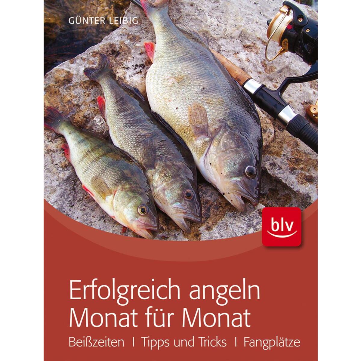 Erfolgreich angeln Monat für Monat von Blv